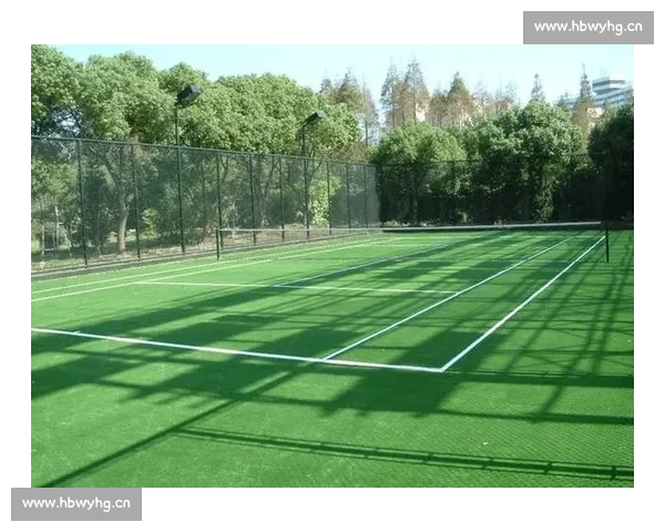 从草地到硬地探寻网球运动的魅力与竞技精神全景历史文化训练科技未来